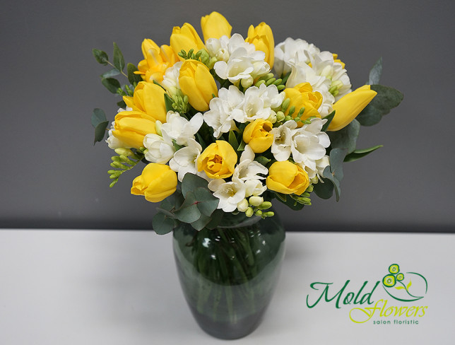 Букет из жёлтых тюльпанов и белых фрезий в вазе  (ПОД ЗАКАЗ, 10 дней) Фото